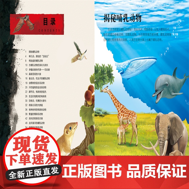 生命简史 穿越地球46亿年 探索哺乳动物 6-12-15岁儿童中小学生青少年科普读物 宇宙起源地球形成生命诞生史前世界探高清大图