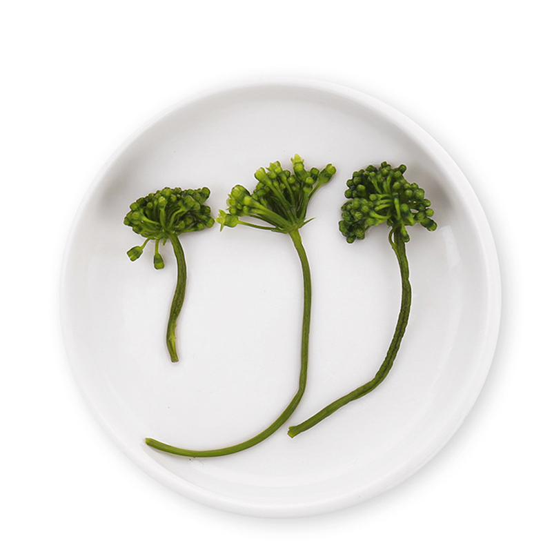 靠山庄人参花250g罐人参花茶花茶养生茶长白山人参花新花大花蕾野生