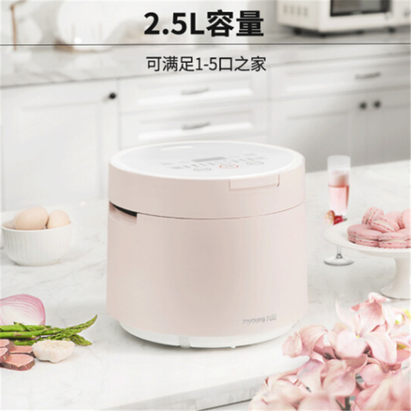 九阳电饭煲25FZ1
