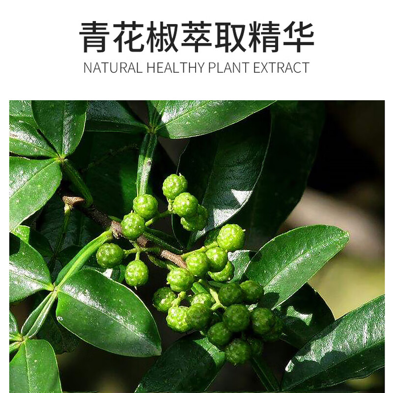 [满婷]洗发水/护发素 MT-550 550ml 护发,控油 550ml/瓶 1瓶高清大图