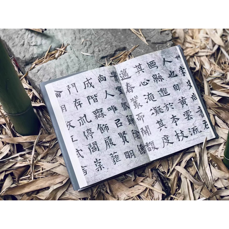 [正版]2023年新书 碑志春秋 石头上的历史事件与人物 王强编 上海书画出版社曹全碑爨宝子瘗鹤铭石门颂尹宙碑碑墓志摩