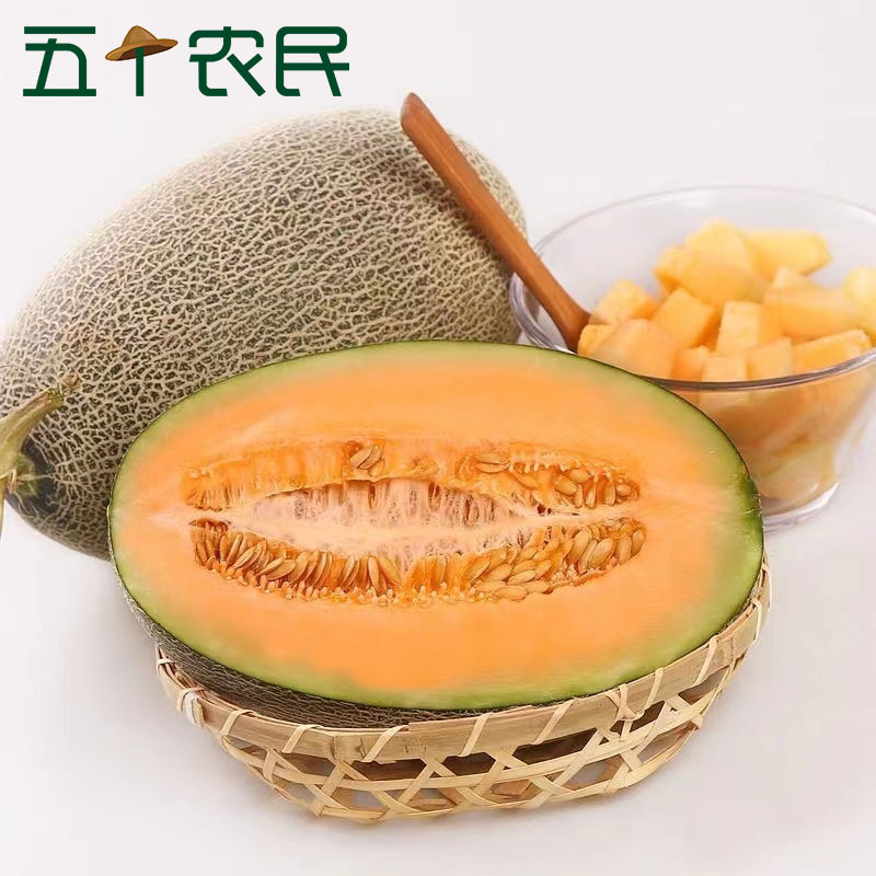 [五个农民]新疆吐鲁番哈密瓜6-7斤装 新疆产地直发 甜瓜网纹瓜西州蜜25号当季新鲜水果