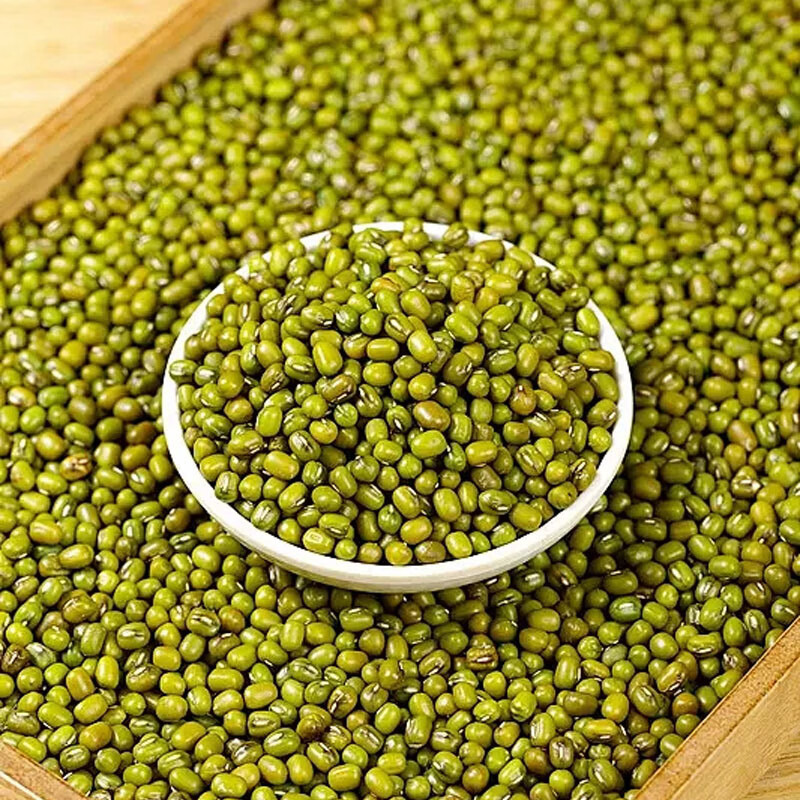 蒲臻善绿豆甄选原粮自然生长原汁原味口感醇厚500g高清大图