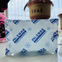200g生物冰袋 冷藏冰袋蔬菜水果食物海鲜保鲜冷藏10*14厘米保温时效2到3天