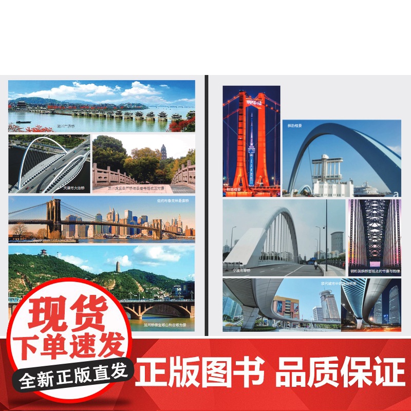 城市桥梁概念设计 杨士金 建筑城市规划风景园林艺术景观设计 同济大学出版社 9787576507539高清大图