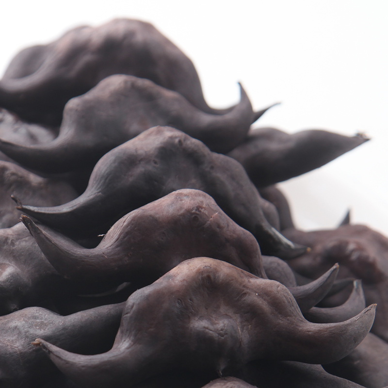 洪湖菱角新鲜5斤老菱角粉糯莲角黑棱角农家湖北特产凌角蔬菜视频