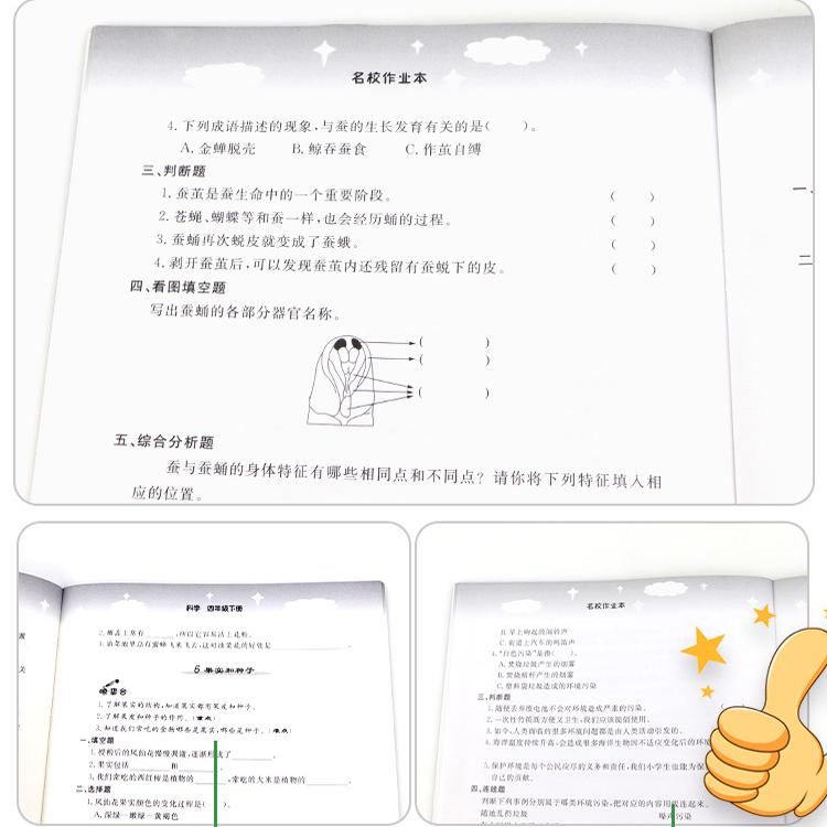 道德与法治-人教版 三年级下 [正版]2025新版快乐精灵名校作业本科学道德与法治三年级四年级上五年级下六年级年级上册下高清大图