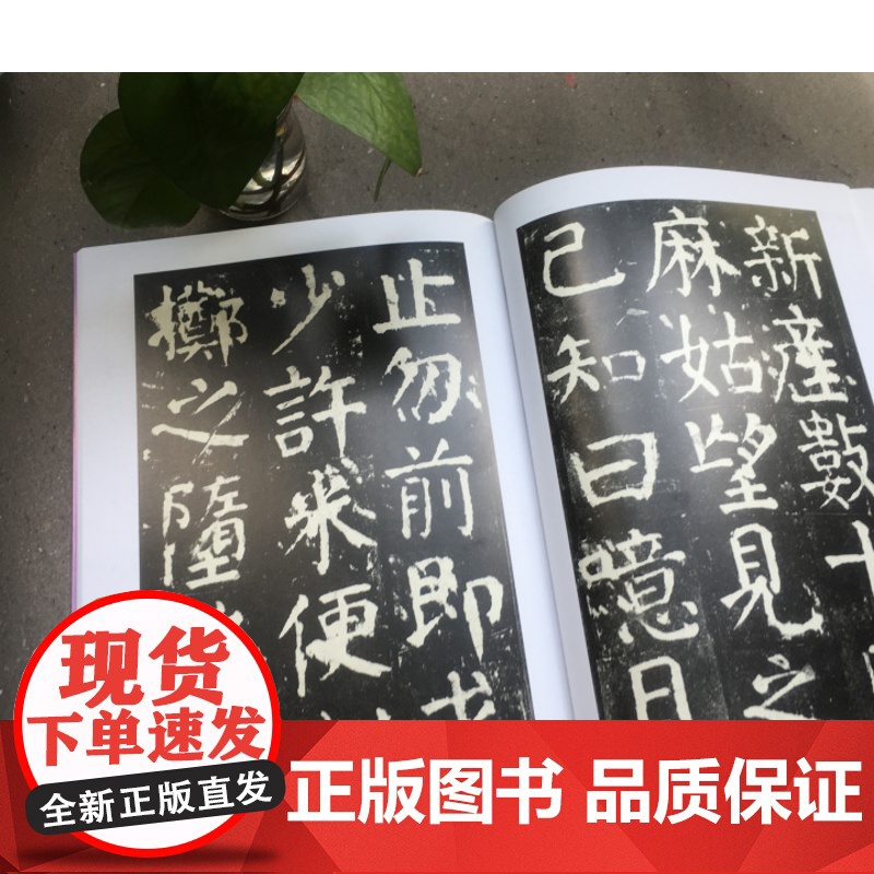 中国碑帖经典 颜真卿麻姑仙坛记 平装 楷书软笔毛笔书法练字帖 上海书画出版社高清大图