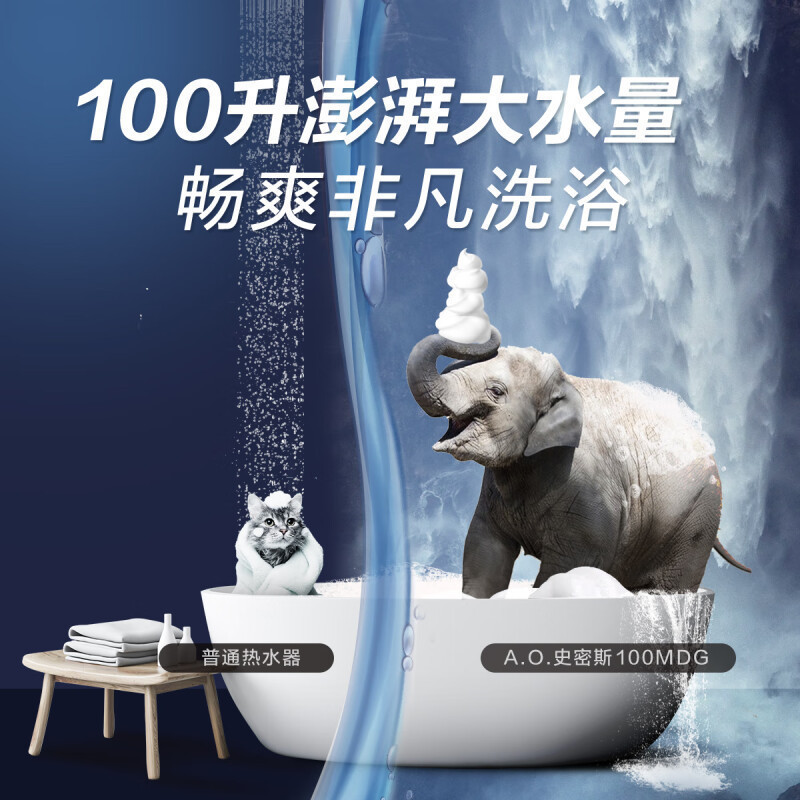 史密斯(A.O.SMITH)100L 电热水器 大水量 金圭内胆 免更换镁棒 双棒速热 专利内胆清洁 E100MDG