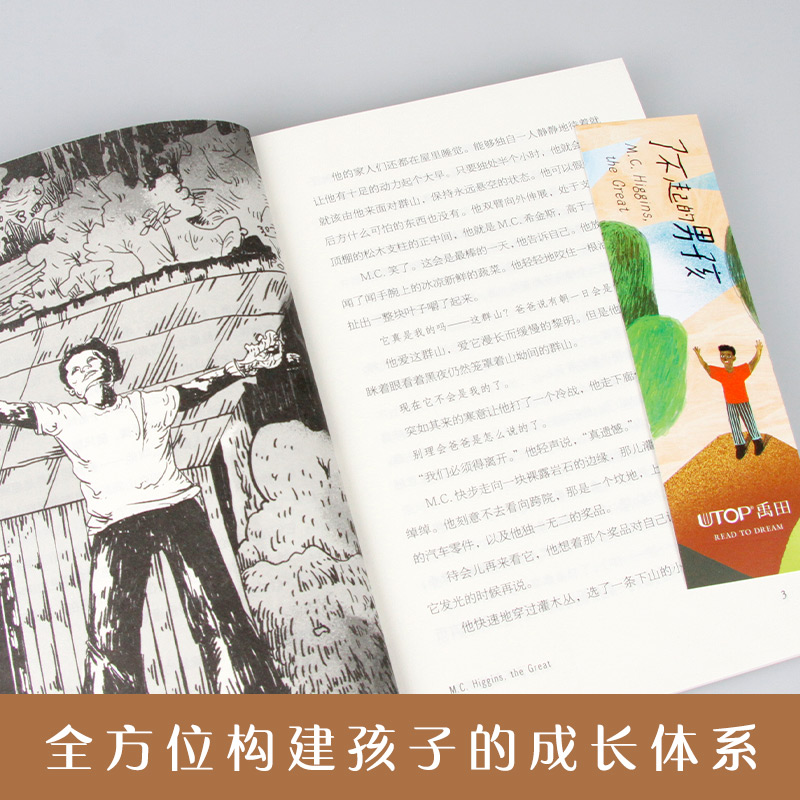 了不起的男孩 [正版]了不起的男孩 长青藤国际大奖小说书系 纽伯瑞儿童文学金奖 美国国家图书奖 小学三四五六年级课外阅读高清大图