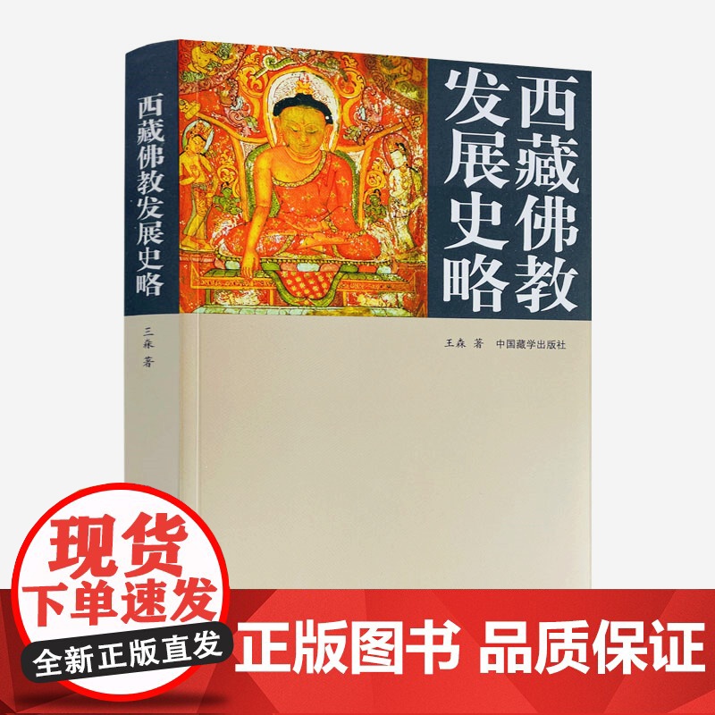 正版 西藏佛教发展史略 王森/著 中国藏学出版社高清大图