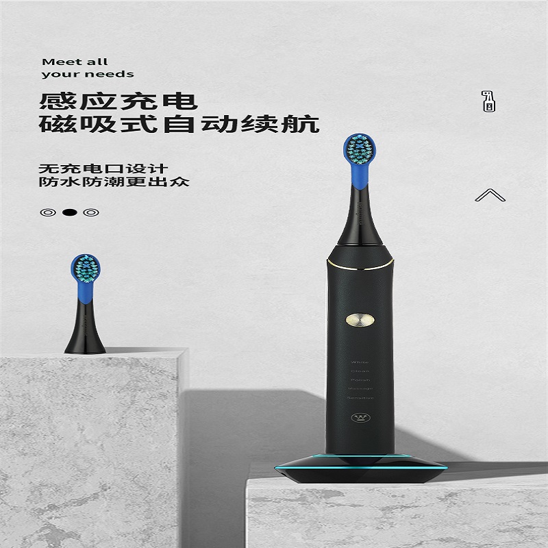 西屋(Westinghouse) 电动牙刷成人WT-503充电式情侣牙刷 软毛自动牙刷高清大图