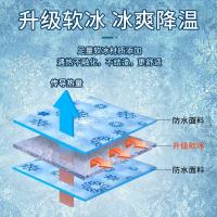 惠铁 夏款定制坐垫 印字 个
