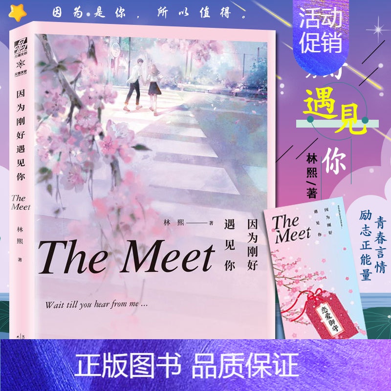 [正版]赠书签因为刚好遇见你 林熙著 暖心校园励志成功积正能量青春言情都市爱情情感成长随笔散文小说书籍余生很长何慌张