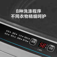 [官方直营]小天鹅(LittleSwan) 变频波轮洗衣机全自动免清洗直驱变频一键脱水除螨洗10公斤TB100V23DB