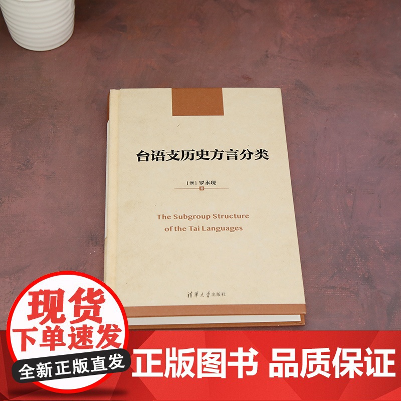 正版新书 台语支历史方言分类 罗永现(澳)清华大学出版社 台语支高清大图
