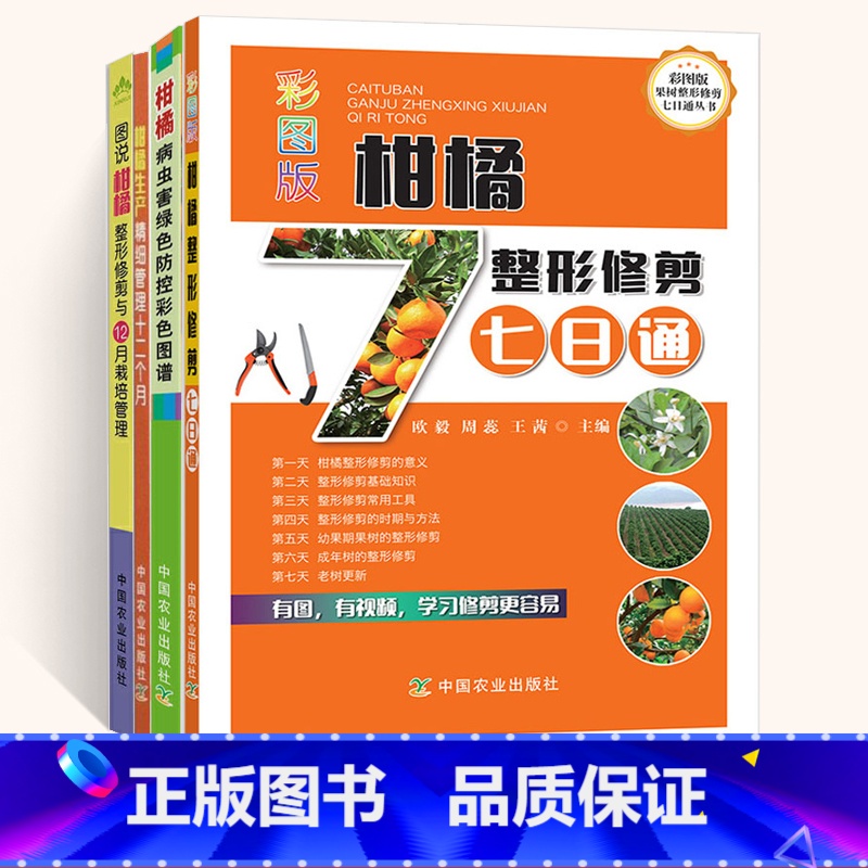 【正版】柑橘种植技术书籍4册 果树橘子桔子修剪农业种植管理技术高效栽培大全书病虫害防治生产精细管理十二个月绿色防控彩