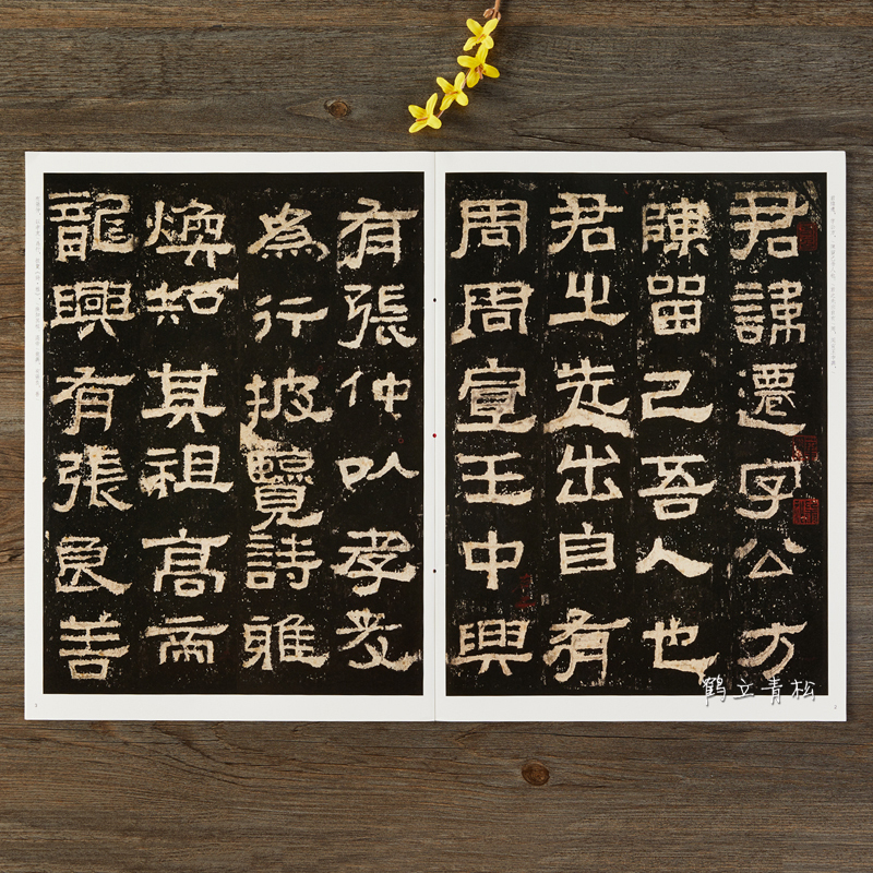 [正版] 张迁碑 中华经典碑帖彩色放大本 中华书局 八开隶书原碑帖毛笔字帖