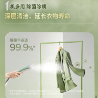 飞利浦 (PHILIPS)熨烫机蒸汽挂烫机易收纳操作家用立式熨衣机STE3051/78