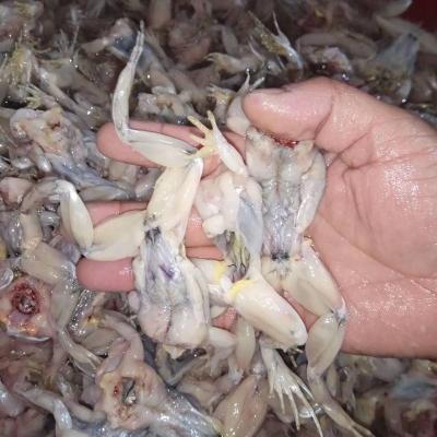 青蛙去皮去头去内脏半斤装青蛙肉鲜活现杀养殖田鸡肉冷冻青蛙肉黑斑蛙