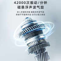 法洁奥大理石声波电动牙刷成人全自动智能电动牙刷情侣套装软毛自带双刷头+1个洁面刷-曜石黑