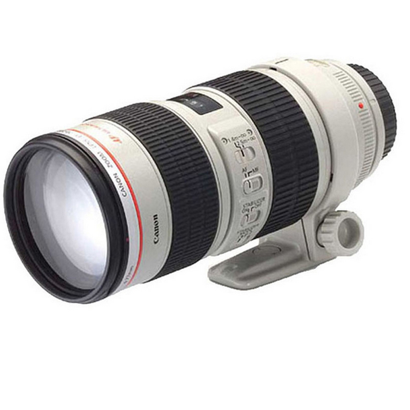 佳能(Canon) EOS 5D4(70-200mm+闪光灯+三脚架) 数码单反相机 单镜头套装 约3040万像素