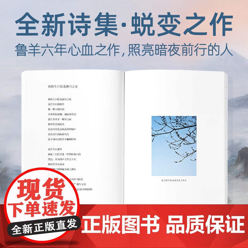 昨天发生的一切都不是真的 中国知名诗人作家译者当代先锋小说标杆人物 诗人鲁羊6年心血之作 收录71幅鲁羊摄影作品浙江文艺高清大图