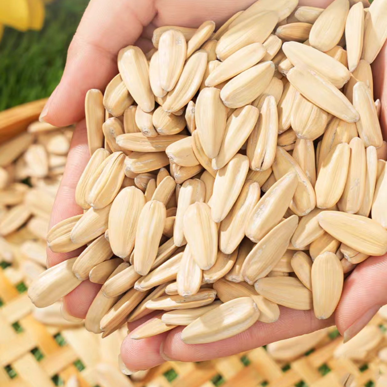 珑语田 年货大礼包瓜子花生礼盒 1kg 盒高清大图