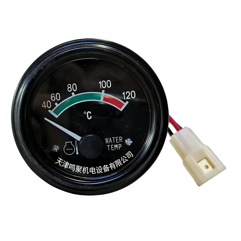 鸣聚 水温表 DWZ-2 个高清大图