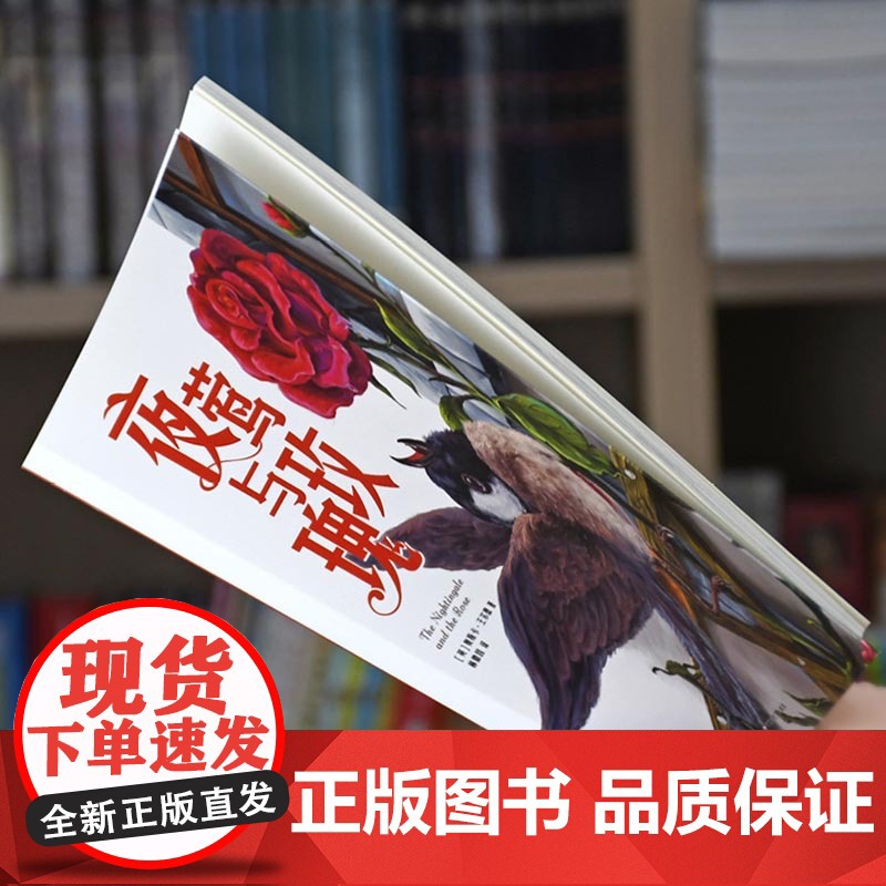 夜莺与玫瑰(王尔德童话与短篇小说全集!允许一切发生给每一个看透生活真相仍然心怀热爱的人)高清大图
