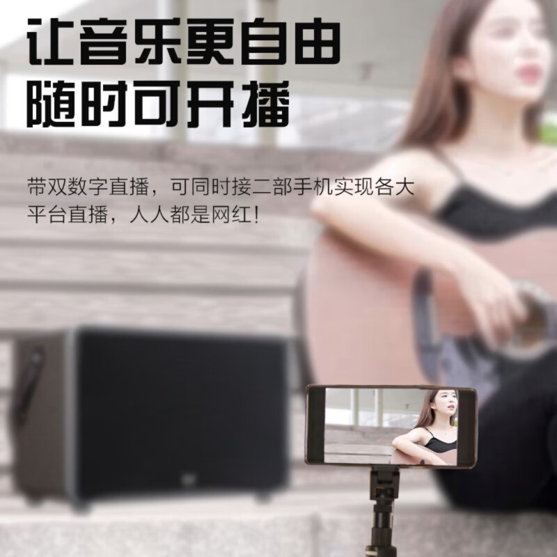 惠度(HuiDu)NB-500L专业电吹管演唱音箱双数字直播录音三分频挎包式带双麦电视伴侣音箱