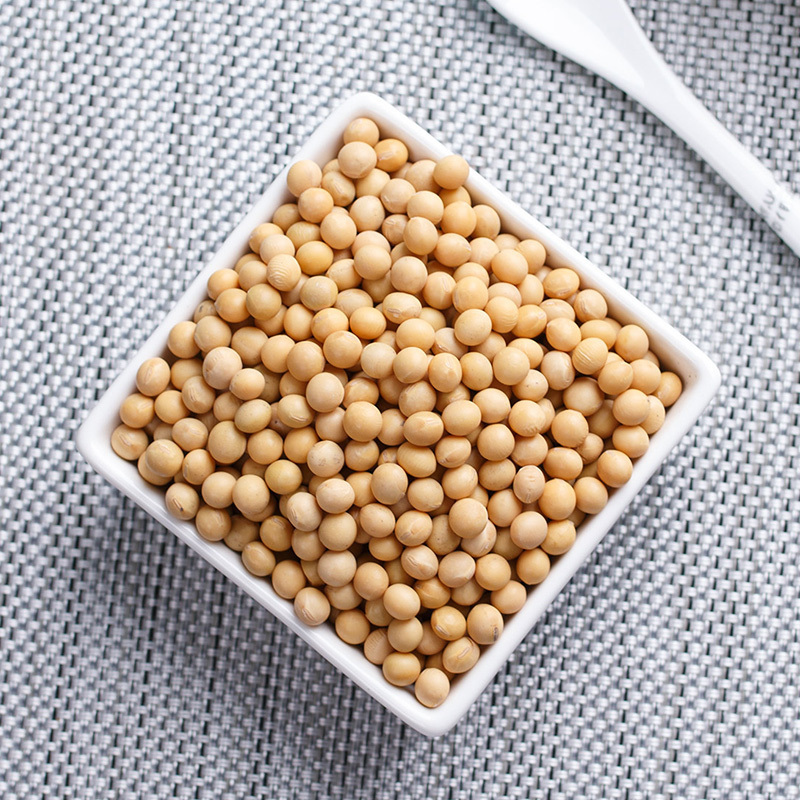 金唐(KTANG)东北有机黄豆420g 东北特产大豆豆浆豆五谷杂粮豆