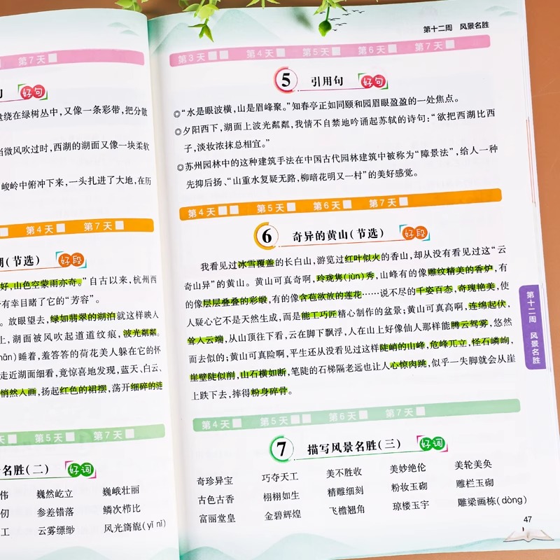 语文优美句子+英语美文+小学古诗文[3册] 小学通用 [正版]337晨读法优美句子积累大全小学生一二三年级四五六年级语文高清大图