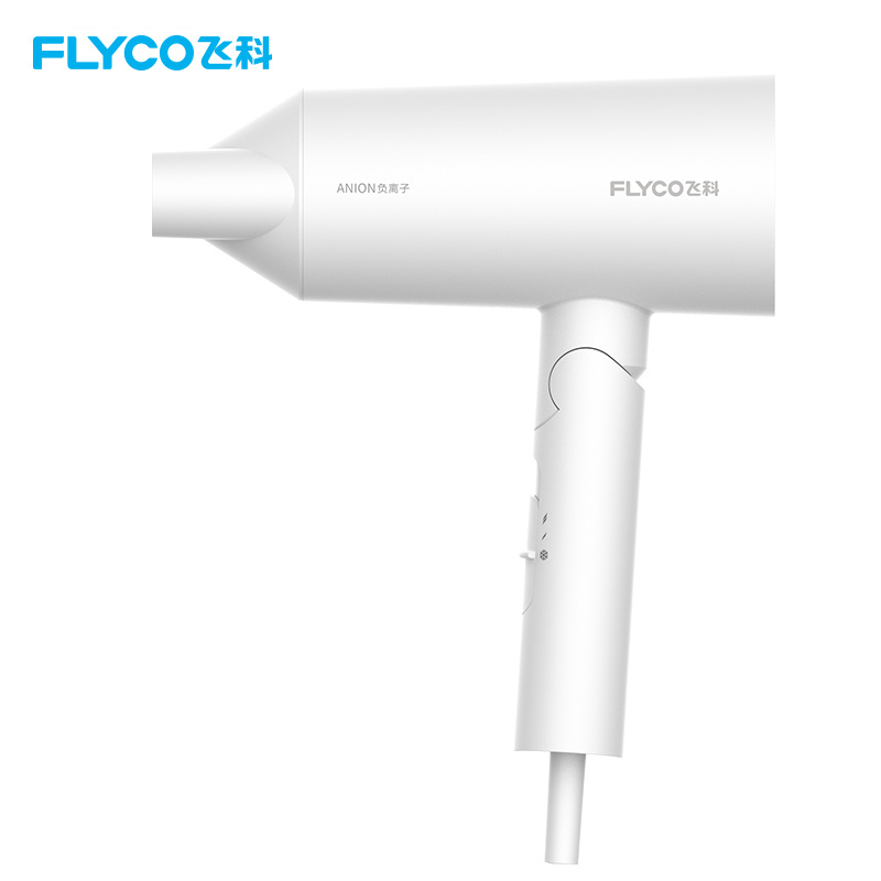 飞科(FLYCO)电吹风 FH6276