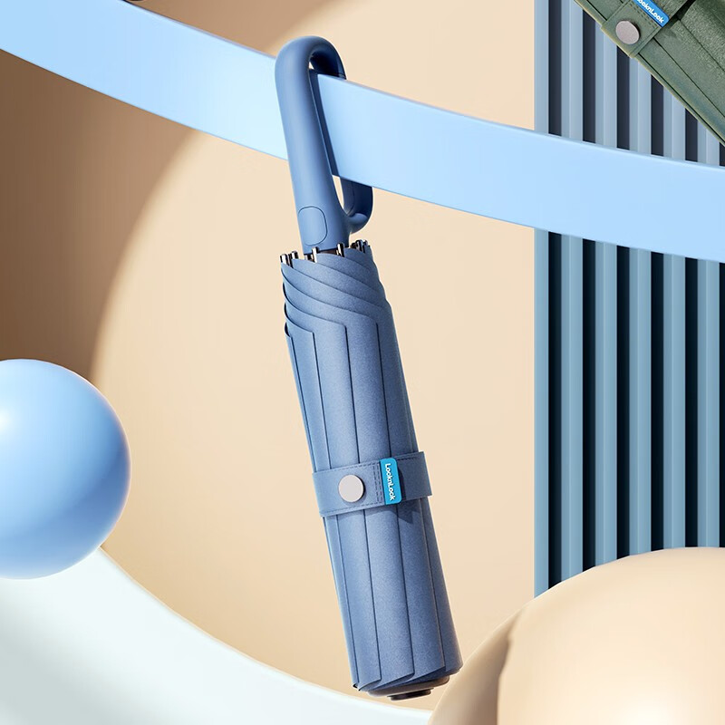 乐扣乐扣(LOCK&LOCK)商务环扣自动伞 纤维伞骨300T碰击布 女士创意新环扣挂钩伞锁扣简约10骨抗风