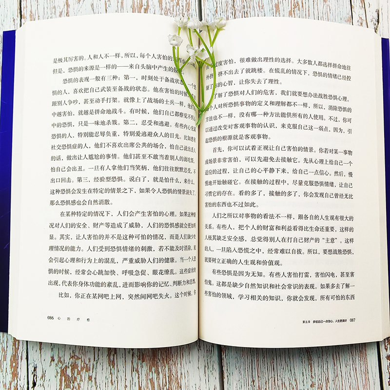 心的疗愈 [正版]心的疗愈情绪控制方法心理健康教育温柔对自己自我实现治愈系书籍活出生命的意义励志心理学书籍做自己的心高清大图