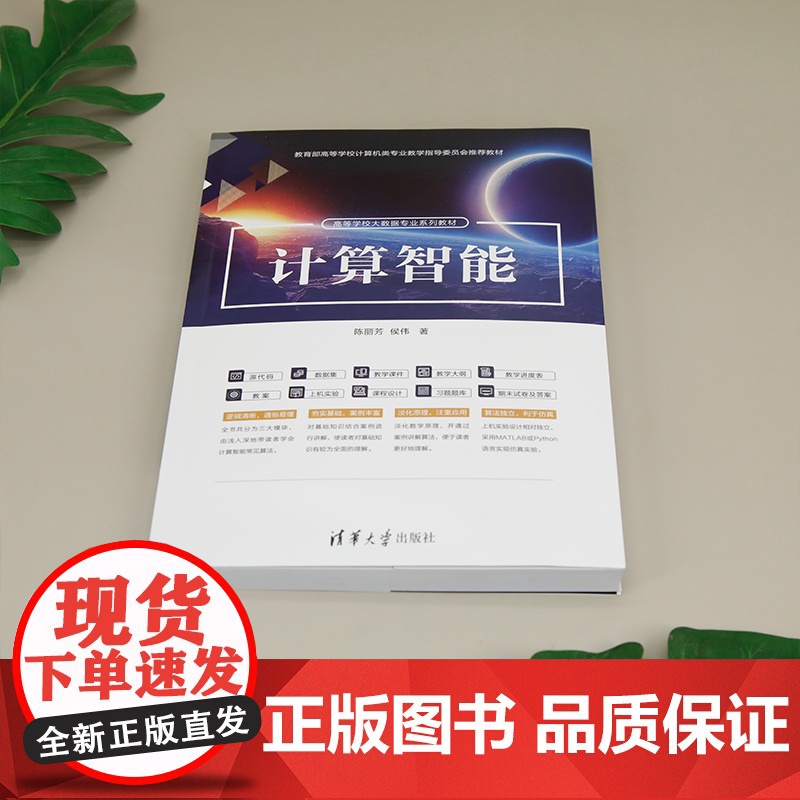 [正版新书]计算智能 陈丽芳 侯伟 清华大学出版社 计算智能,人工智能,大数据高清大图