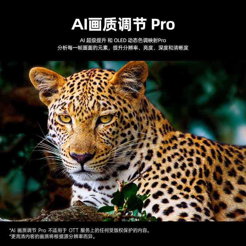 LG OLED42C5PCA 42英寸144Hz可变高刷 4K超高清全面屏电竞游戏电视畅享游戏体验HDMI2.1高清大图