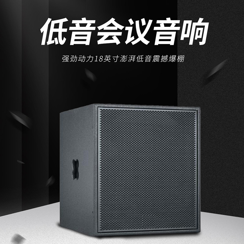 润普Runpu RP-HYZ628 国产化音视频会议室展厅教室礼堂18英寸低音专业会议音响/音箱/喇叭扬声器
