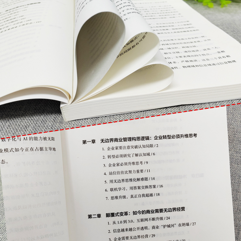 [正版]抖音同款无边界商业模式 宋政隆著 企业运营管理流程设计制度 商业的底层逻辑盈利模式案例分析 可复制的商业模式企业高清大图