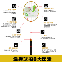 FANGCAN方灿 初学者训练羽毛球拍加重小黑拍学生男女 成人 儿童练习挥拍