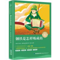 钢铁是怎样炼成的