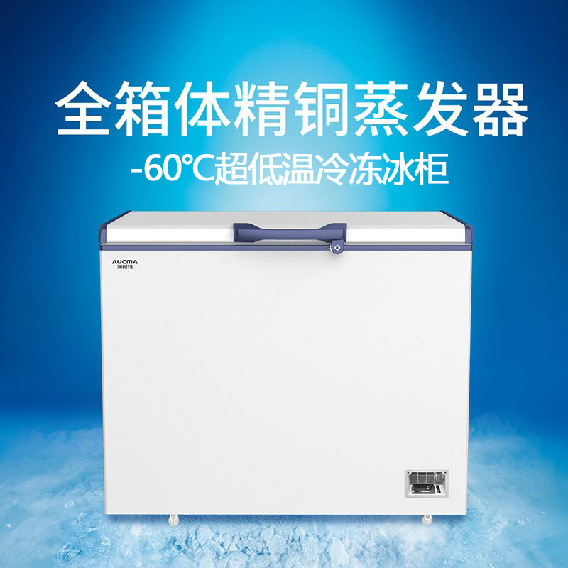 澳柯玛(AUCMA) 192升商用冰柜超低温冷柜 零下-60度海鲜DW/BD-60W192HE