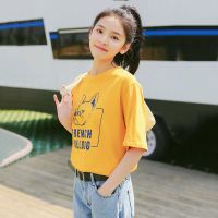 2019年新款色T恤女夏季怪味少女学生宽松百搭上衣韩版新款大码常规款T恤港味打底衫潮女士T恤优旋