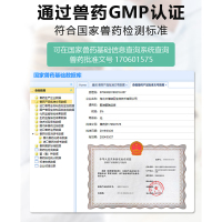 小宠聚维酮碘喷剂宠物皮肤病药狗狗除真菌外用药袪猫咪廯细菌 肤康灵解决宠物各种皮肤问题 80ml