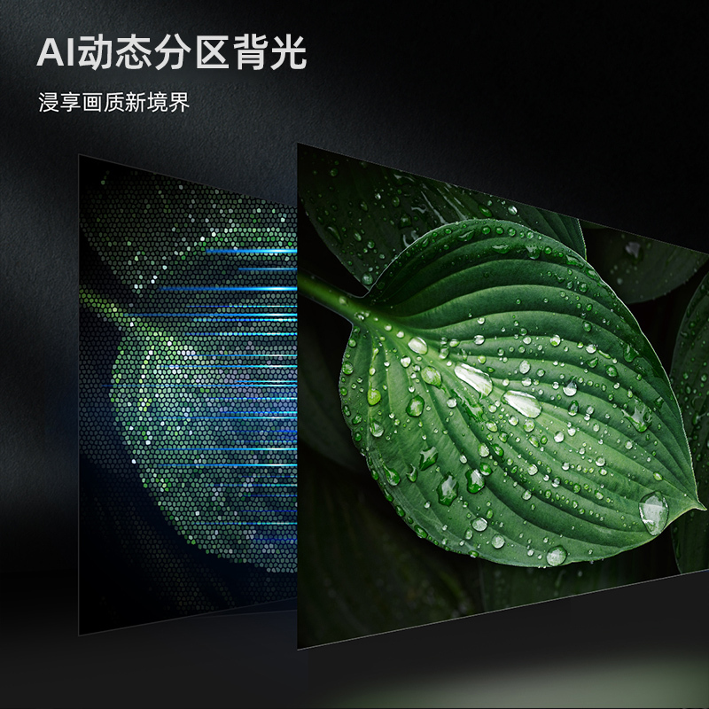 巨幕影院、杜比音画、分区背光