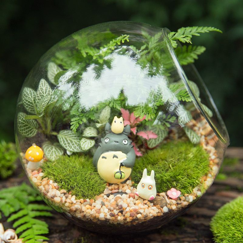 苔藓微景观生态瓶奇趣绿植创意办公室迷你植物diy龙猫小盆栽报价_参数