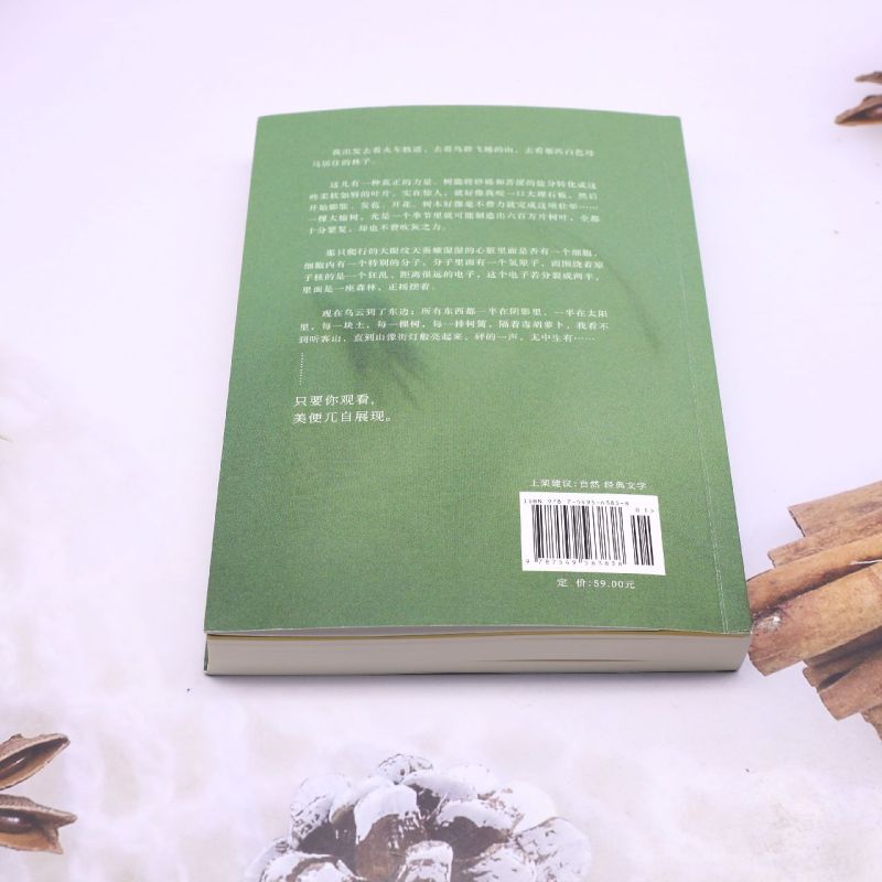 听客溪的朝圣 [正版]听客溪的朝圣高清大图