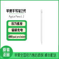applepencil二代_applepencil二代推荐- 苏宁易购