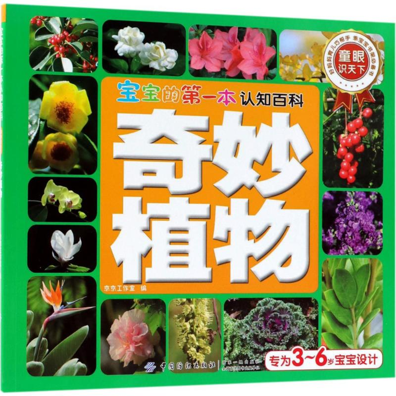 [M]宝宝的第一本认知百科-9787518034963高清大图